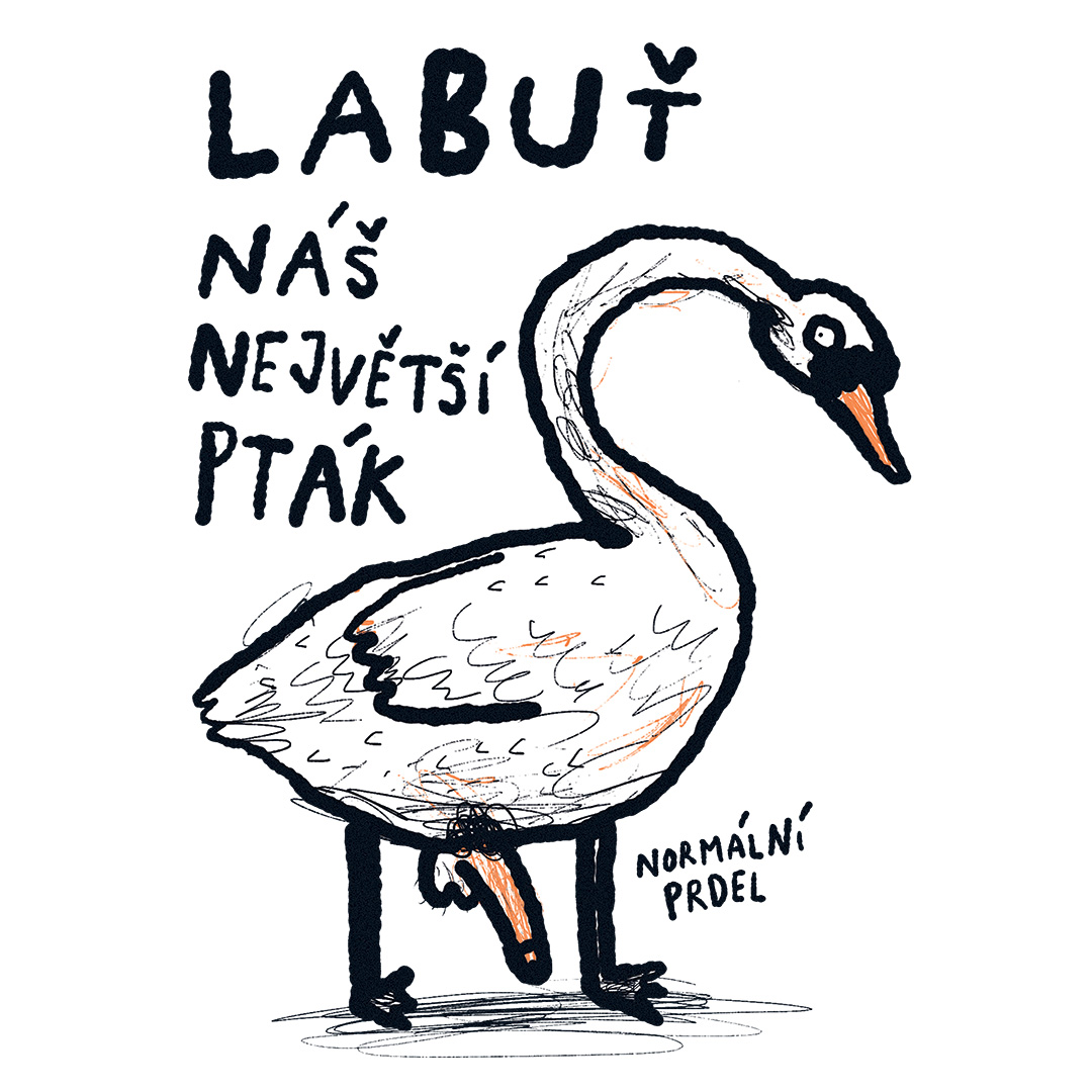 Tričko s potiskem Labuť
