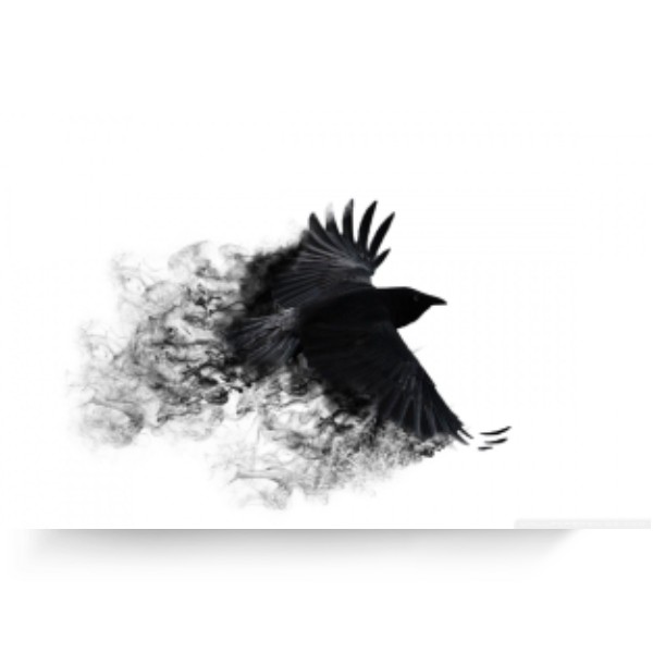 Fotoplátno 4:3 s potiskem fotoplátno černý pták