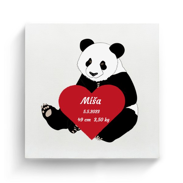 Fotoplátno - Panda červené srdce - Miminka