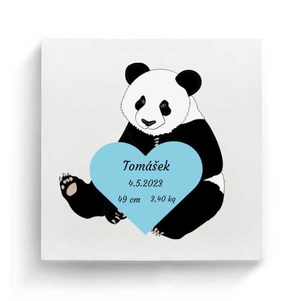 Fotoplátno - Panda modré srdce - Miminka
