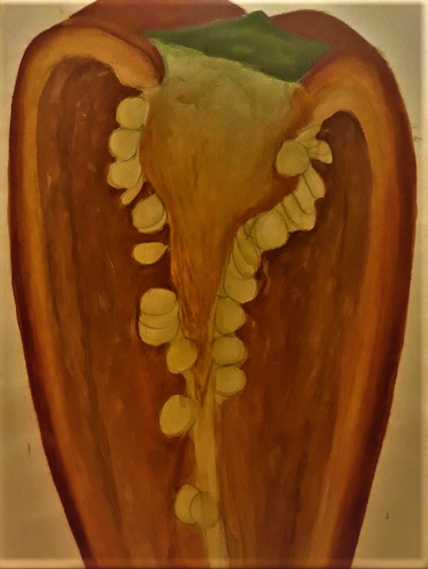 Tričko s potiskem RED HOT CHILI PEPPERS 