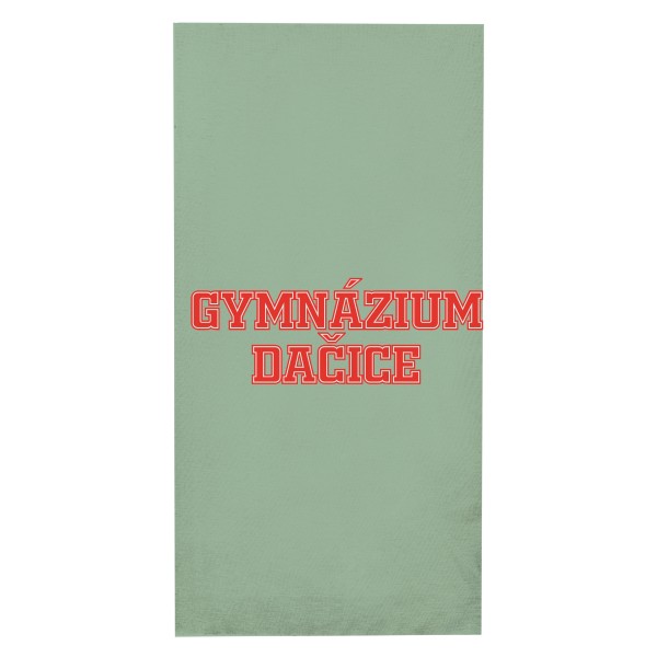 GYMNÁZIUM DAČICE