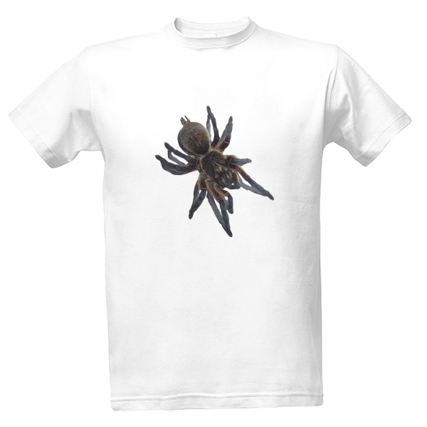 Tričko s potiskem Harpactira pulchripes