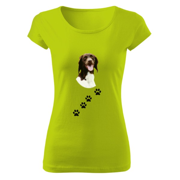 Münsterlandský ohař 