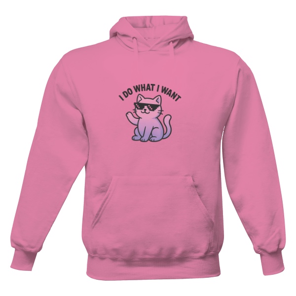 Pánská mikina s kapucí s potiskem I do what I want