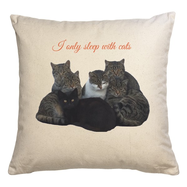 I only sleep with cats
