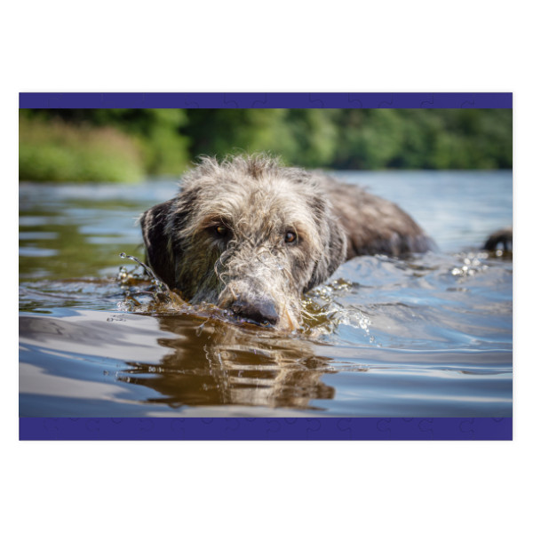 Irish Wolfhound T-shirt