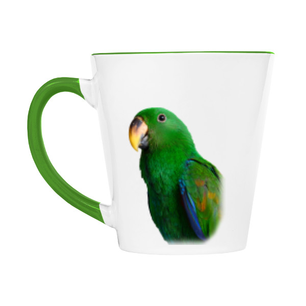 Eklektus mnohobarvý