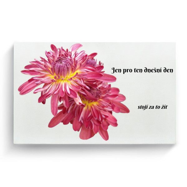 Jen pro dnešní den