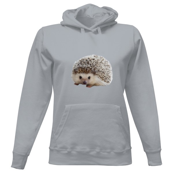 Ladies' hoodie s potiskem Nový produkt - Kopie - Kopie