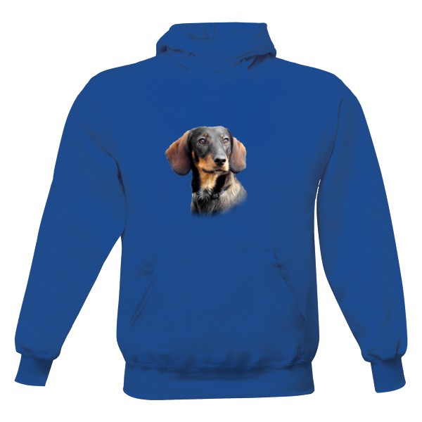 Jezevčík hladkosrstý