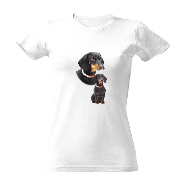 Jezevčík trpasličí hladkosrstý