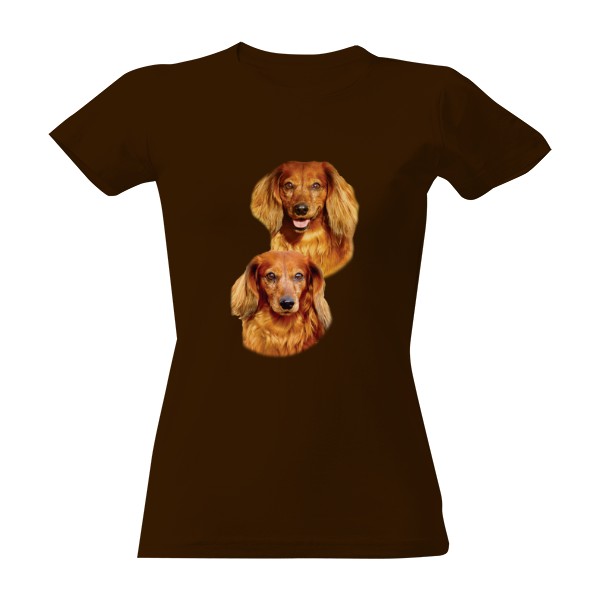 Jezevčík dlouhosrstý