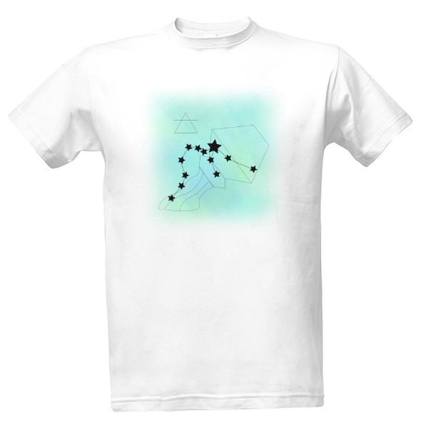 Tričko s potiskem Jsem vodnář