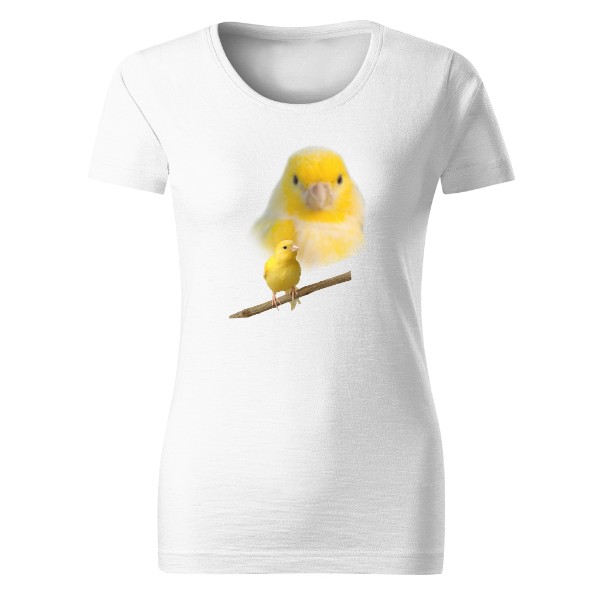 Nový produkt - Kopie