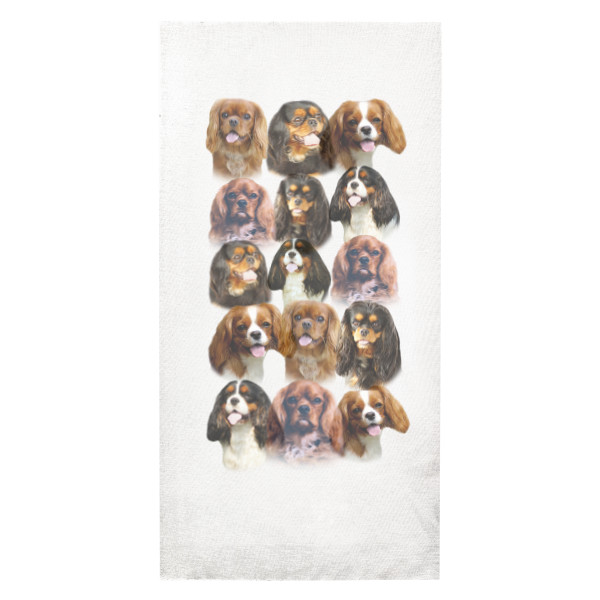 Kavalír King Charles Španěl 