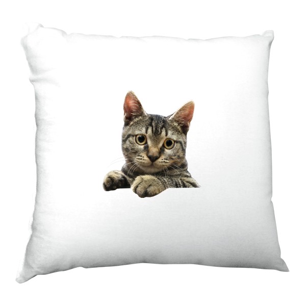 Polštář saténový s potiskem Polštářek s kočičkou