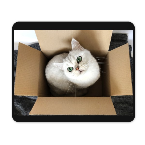 Podložka pod myš s potiskem Kočka v krabici / It fits I sits
