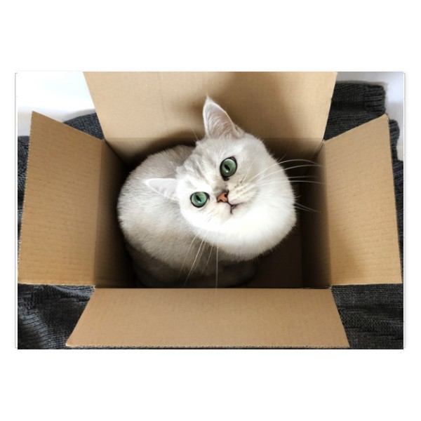 Kočka v krabici / It fits I sits - puzzle