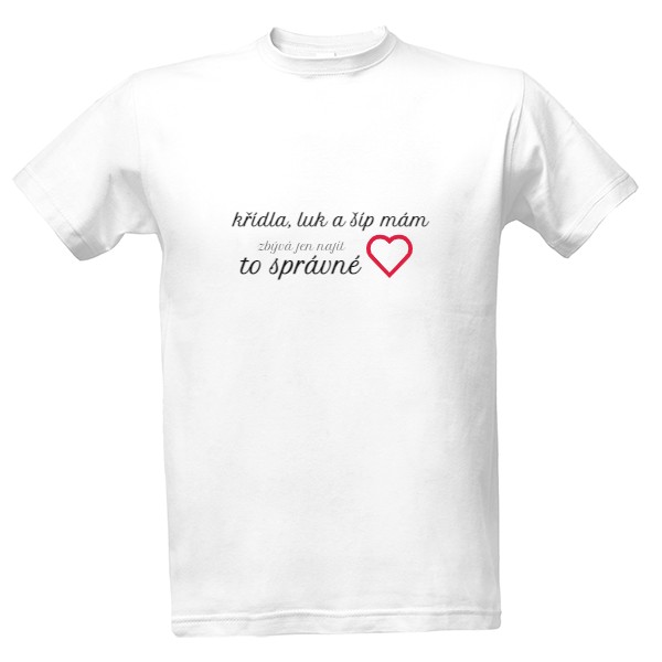 Tričko s potiskem Křídla, luk a šíp