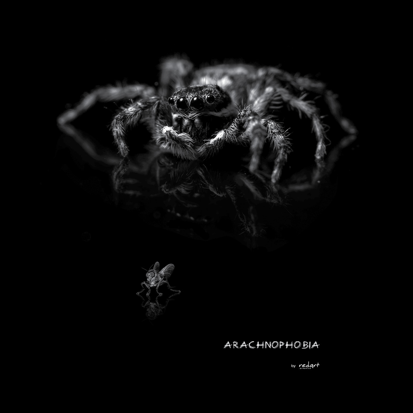 Tričko s potiskem Redart - Arachnophobia