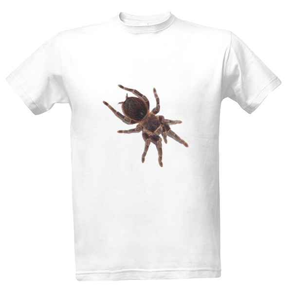 Tričko s potiskem Lasiodora parahybana