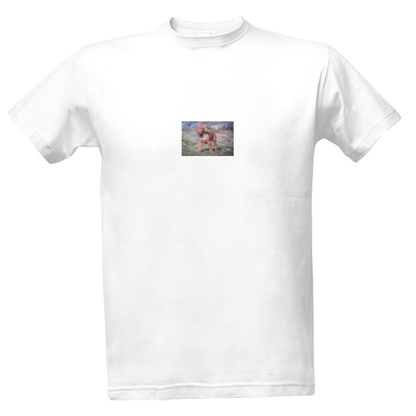Pánské tričko s vizslou 5 T-shirt