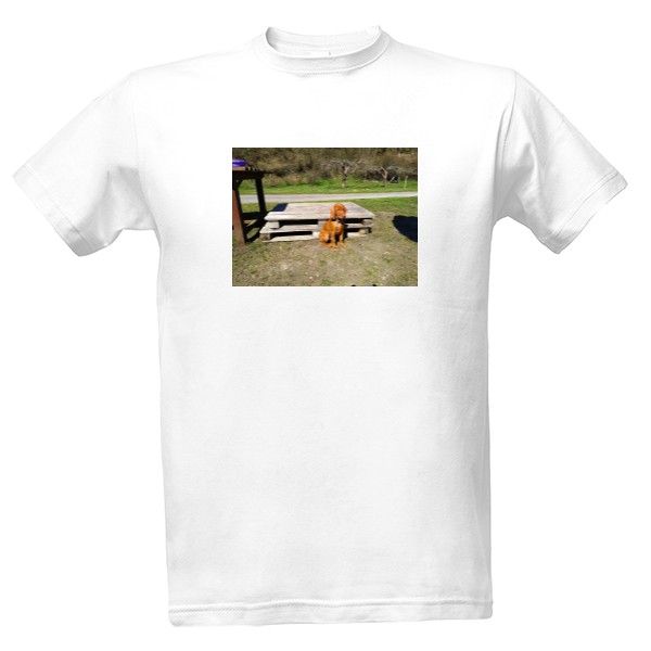 Pánské tričko s vizslou 7 T-shirt