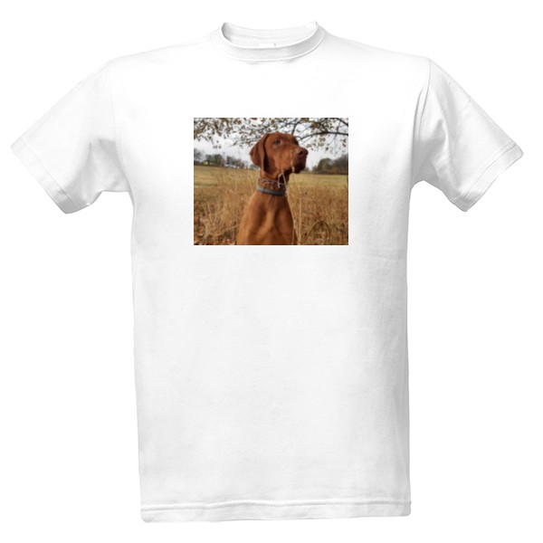Pánské tričko s vizslou 8 T-shirt