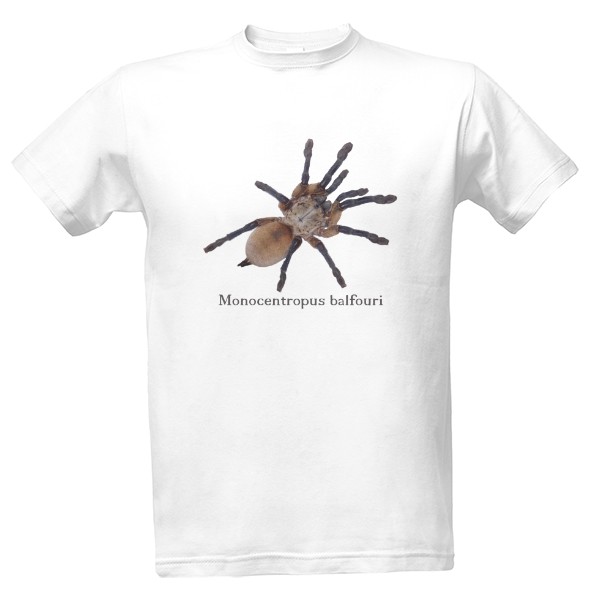 Tričko s potiskem Monocentropus balfouri