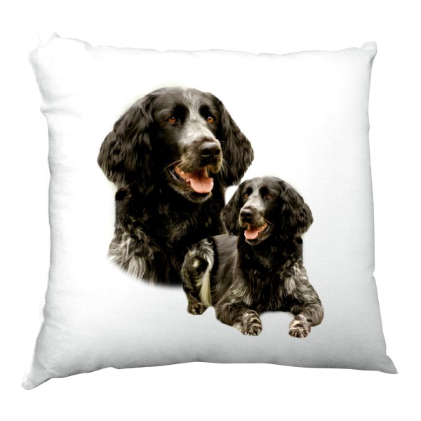 Münsterlandský ohař 