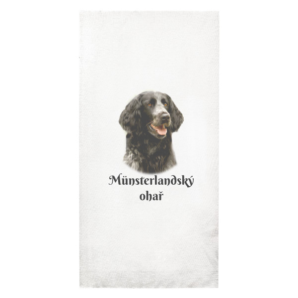 Münsterlandský ohař  - Kopie