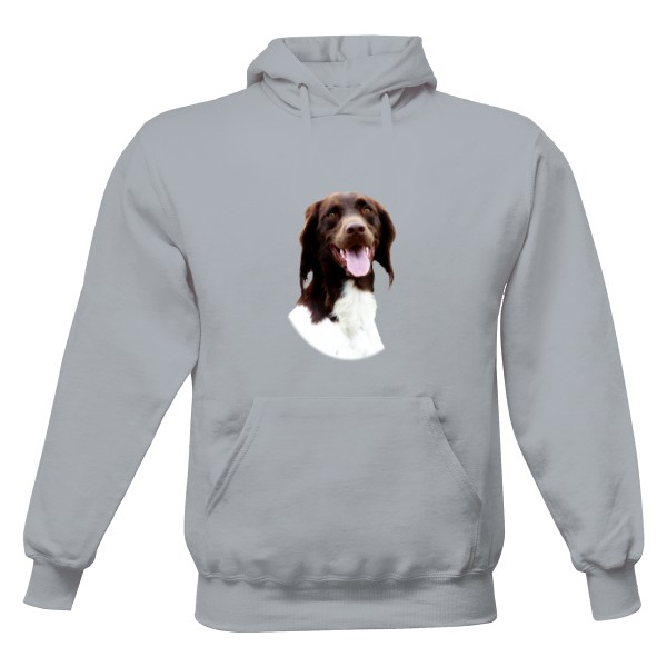 Münsterlandský ohař 