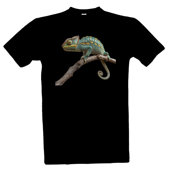 Nehybný chameleon