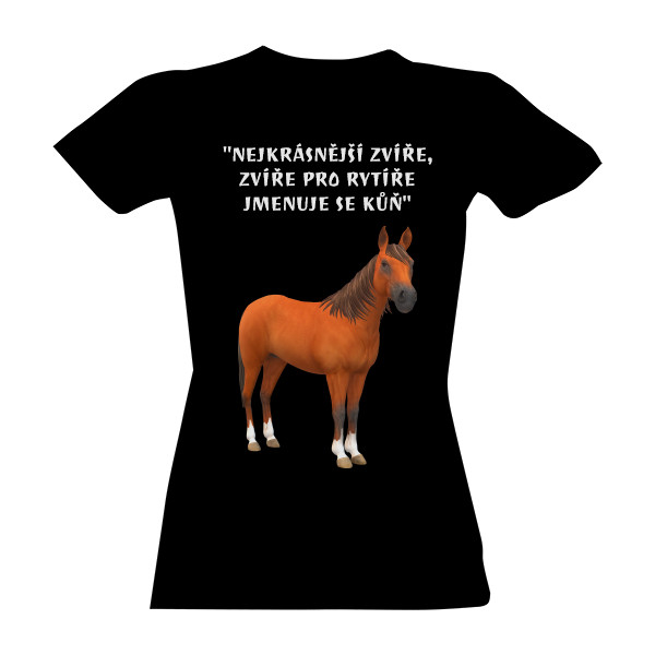 Nejkrásnější zvíře je kůň