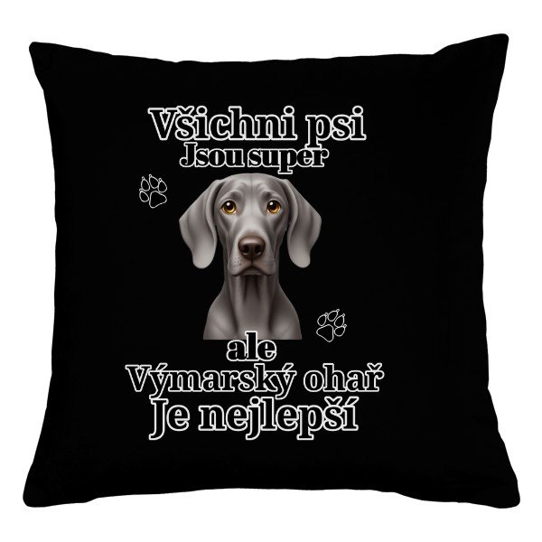 Nejlepší výmarský