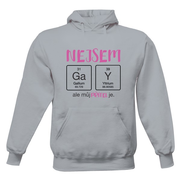 Pánská mikina s kapucí s potiskem Nejsem gay