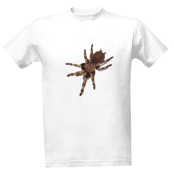T-shirt Nhandu chromatus