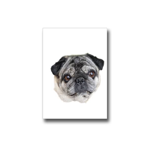 Darčeková kartička s potlačou Nový produkt