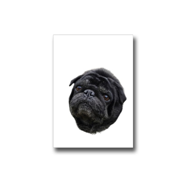 Darčeková kartička s potlačou Nový produkt