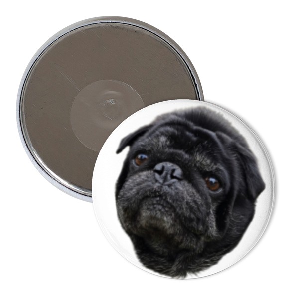 Magnet  s potlačou Nový produkt