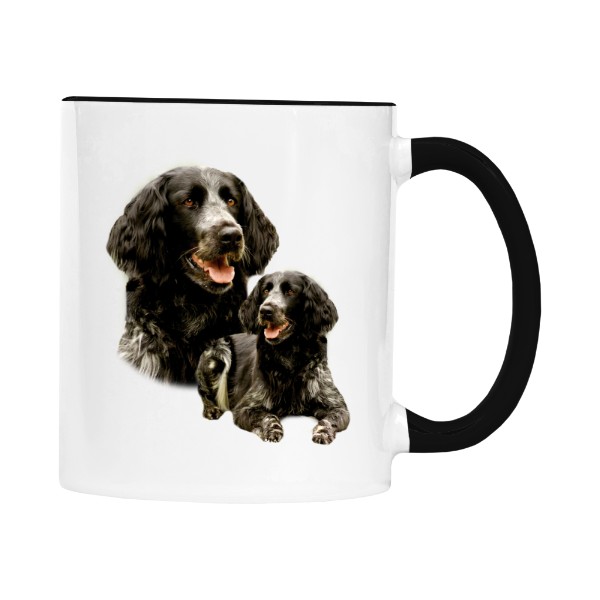 Münsterlandský ohař 