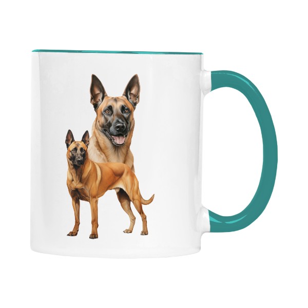 Ovčák typ malinois