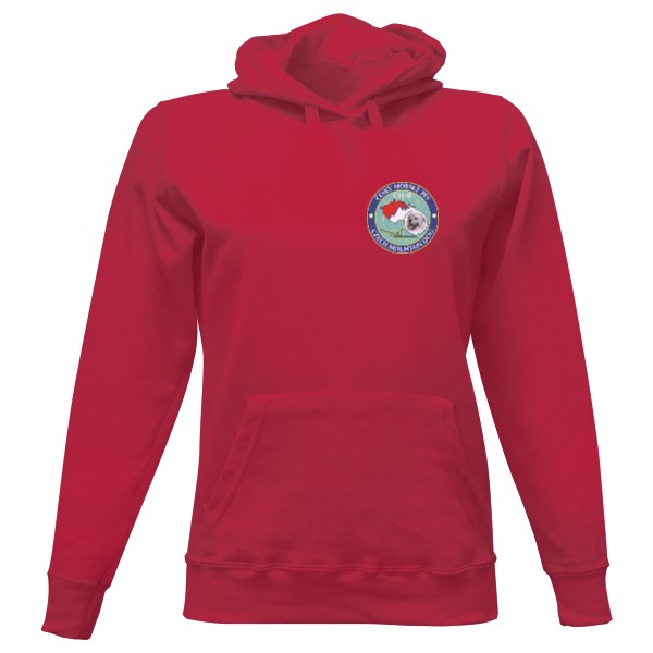 Dámská mikina s kapucí s potiskem Pánská mikina