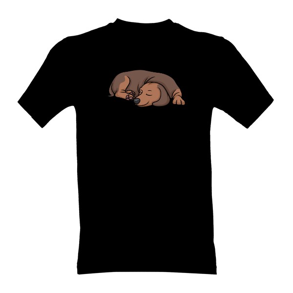 Tričko s potiskem Pánské tričko se spícím jezevčíkem 