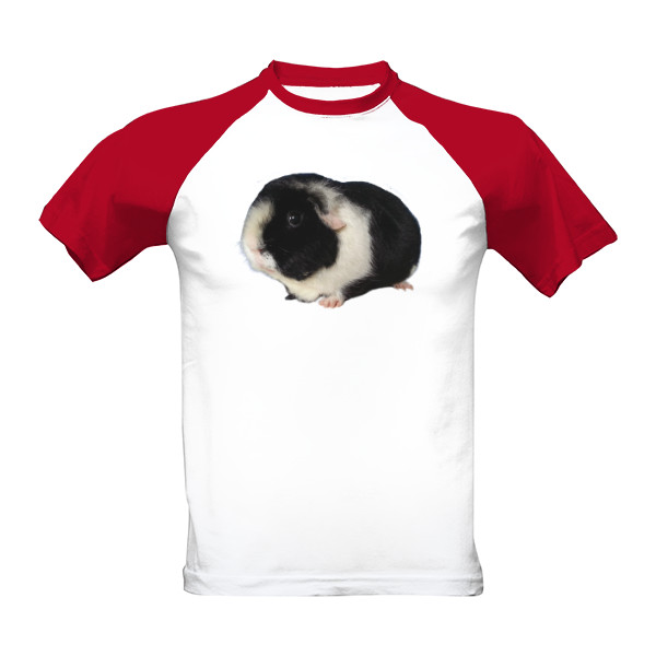 Tričko s potiskem Morče