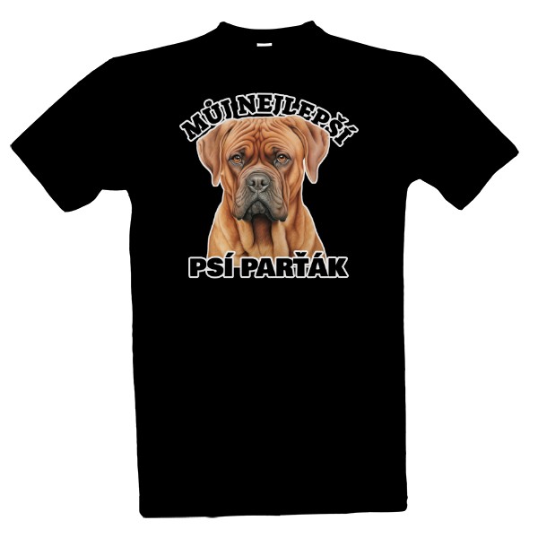 Parťák tosa inu