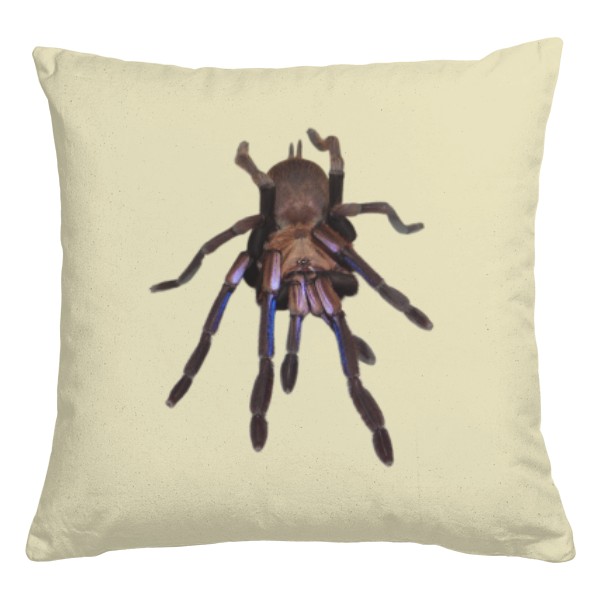 Chilobrachys natanicharum