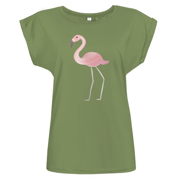 Plameňák růžový