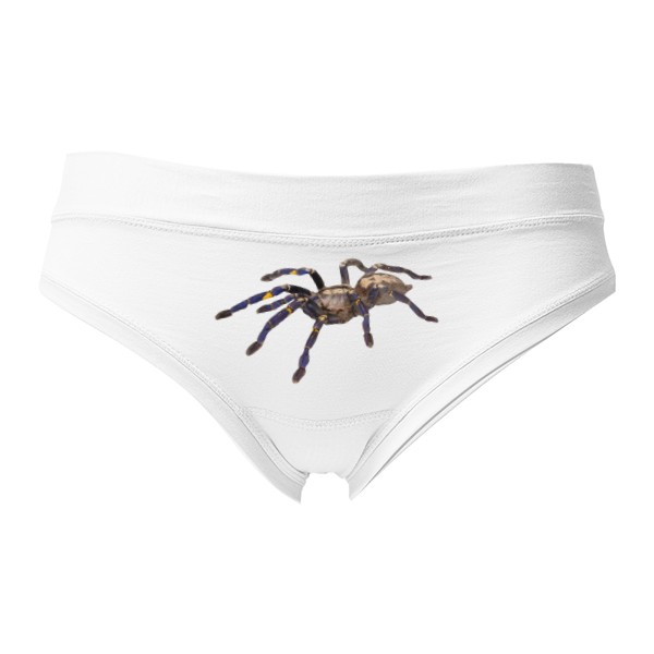 Tanga - Sale Poecilotheria metallica